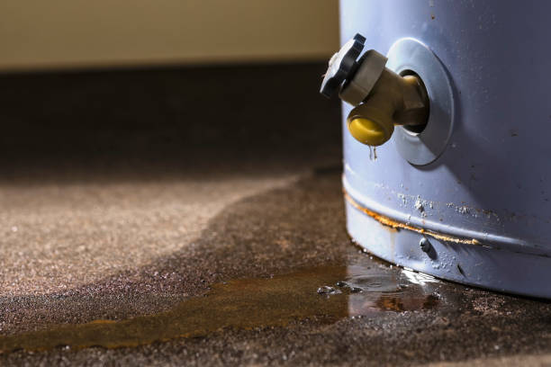Best Residential water damage restoration  in Goshen, AR