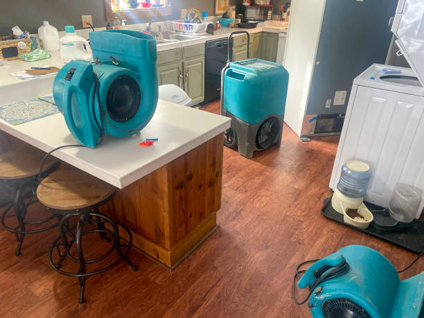 Best Water damage restoration services  in Goshen, AR