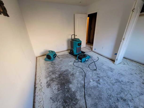 Best Flood damage cleanup  in Goshen, AR