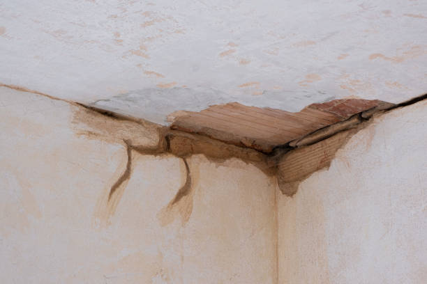 Best Water damage restoration experts  in Goshen, AR