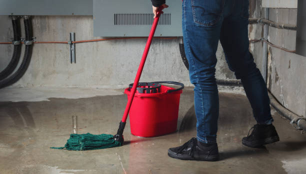 Best Water damage cleanup near me  in Goshen, AR