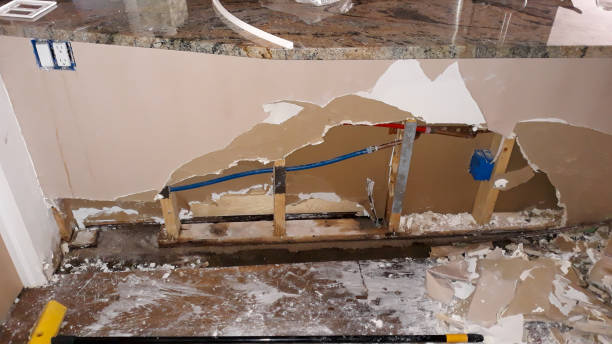 Best Flood damage cleanup  in Goshen, AR