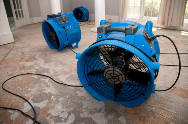 Best Fire Damage Restoration  in Goshen, AR