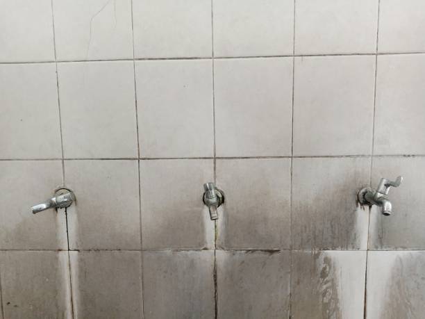 Best Ceiling water damage repair  in Goshen, AR