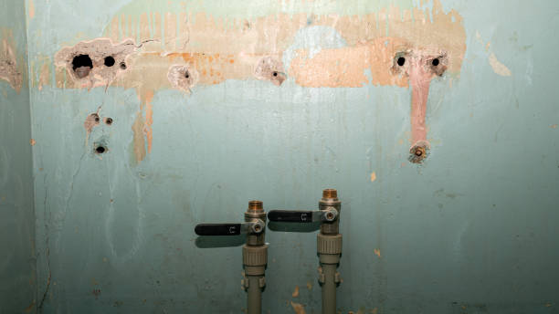 Best Flood restoration services  in Goshen, AR