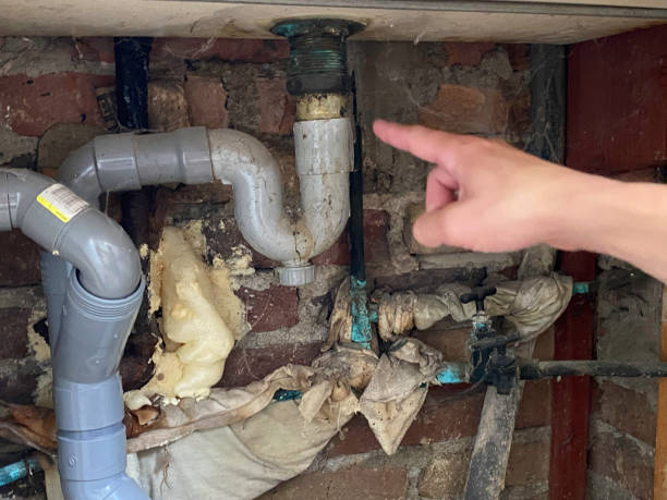 Best Fire Damage Restoration  in Goshen, AR