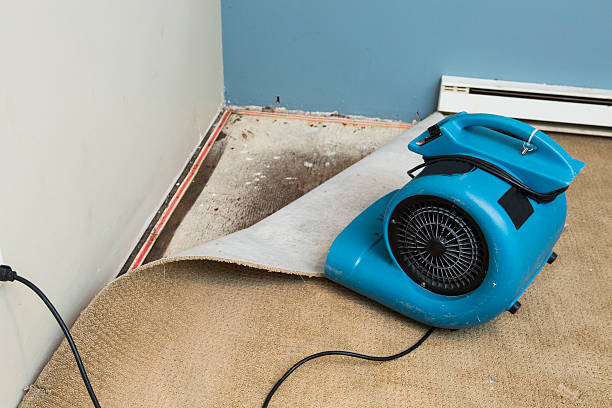 Best Water damage restoration insurance claims  in Goshen, AR